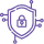 Enterprise-Grade Security